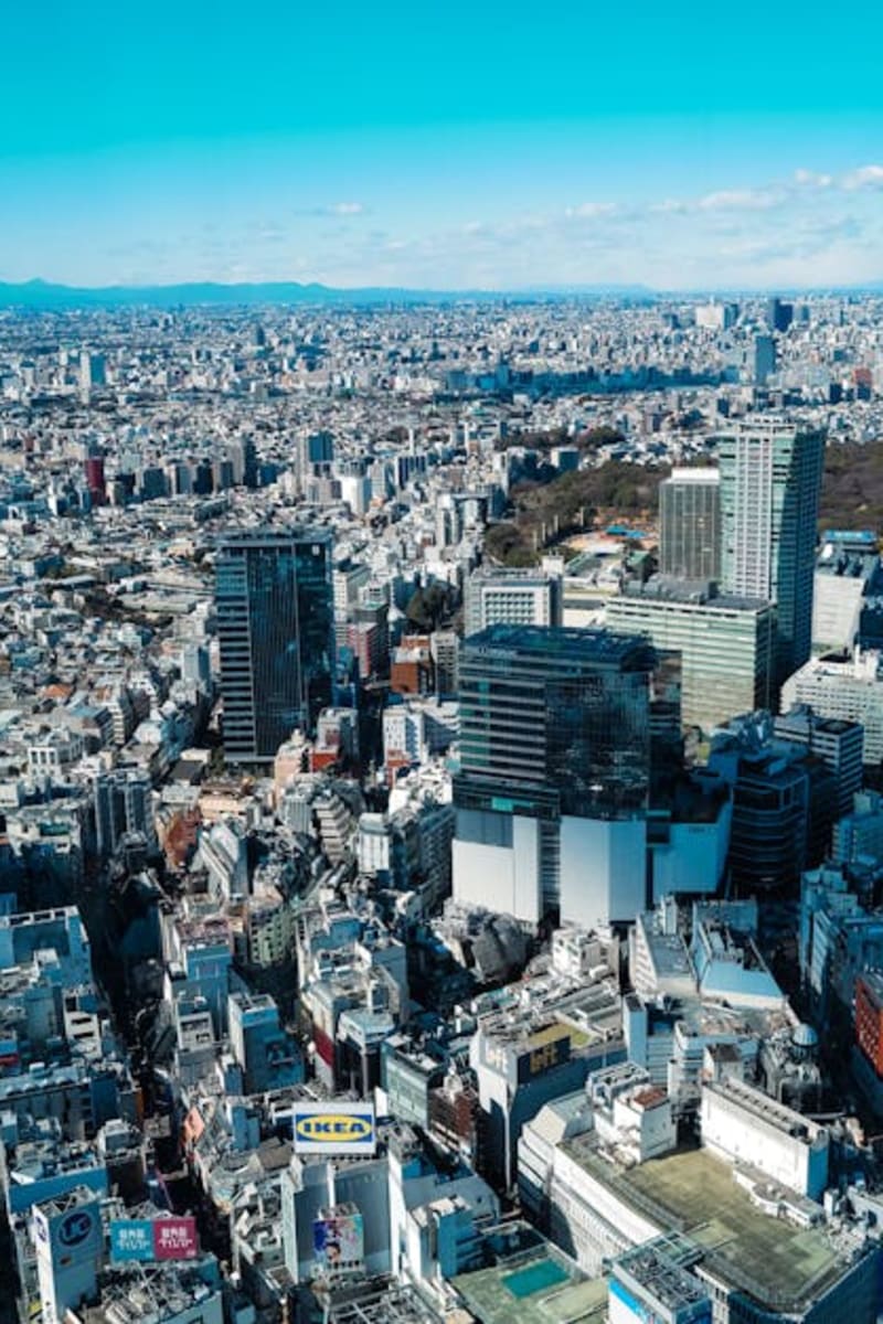 A stunning aerial shot of Tokyo showcasing its sprawling urban skyline and famous landmarks.