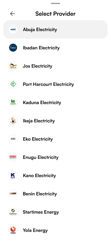 Electricity utility bill providers
