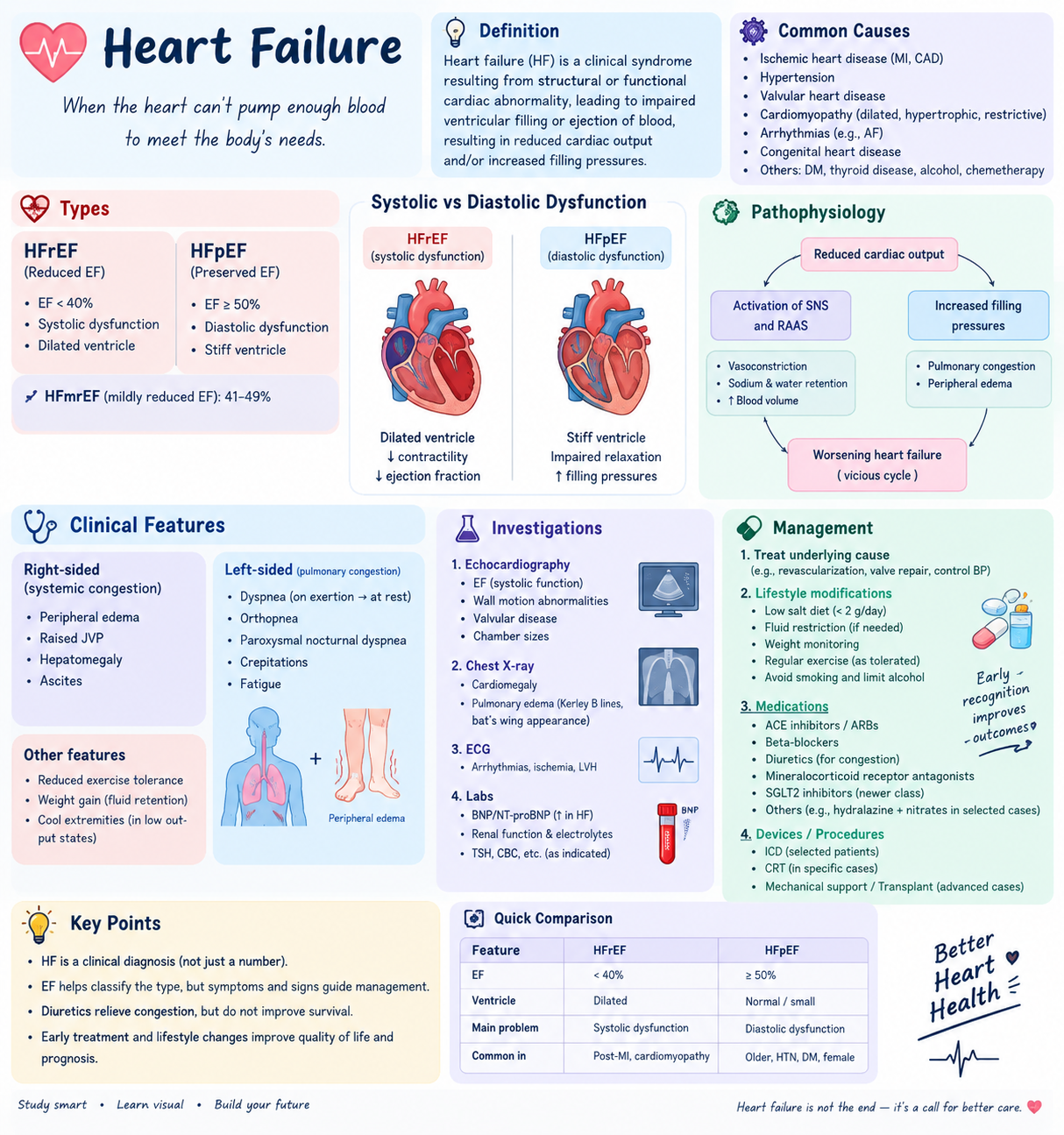 Heart Failure – Visual Medical Study Summary