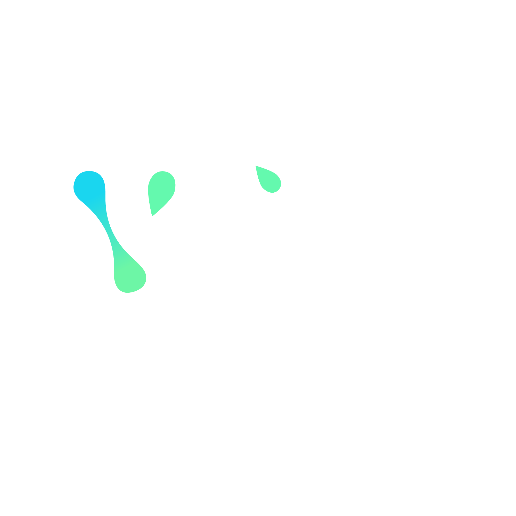 Vliet Consultancy