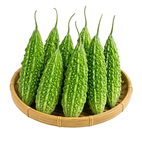 Hybrid Korolla (Bitter-Gourd-Long)