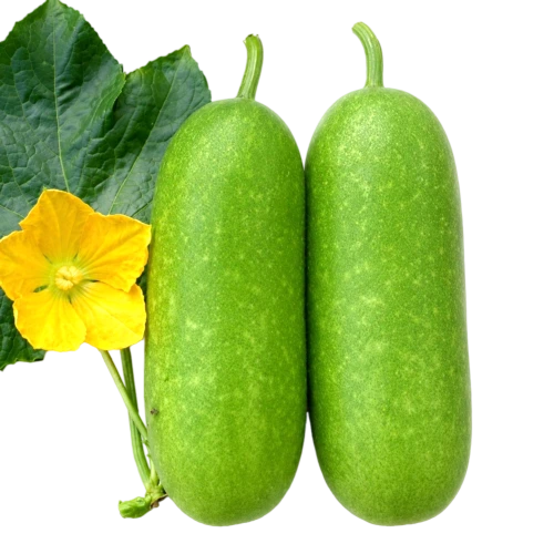 Chalkumra (Wax Gourd)