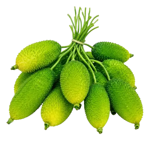 Kakrol (Teasel Gourd)