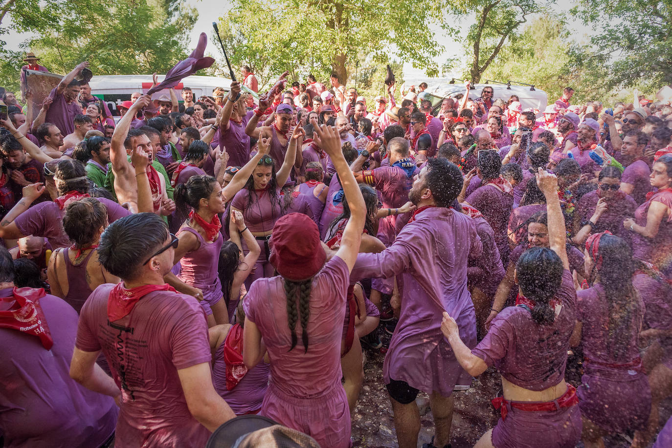 Batalla del Vino