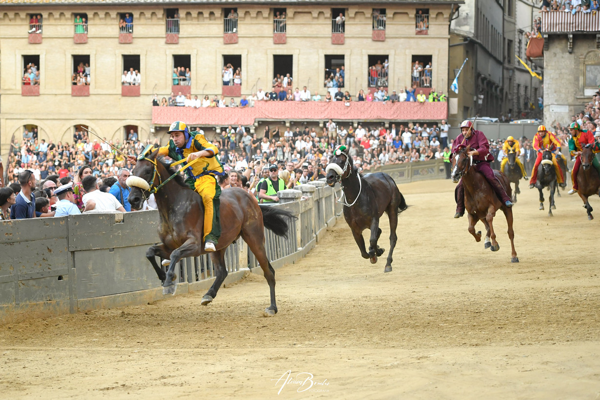 Palio di Siena (Agosto)