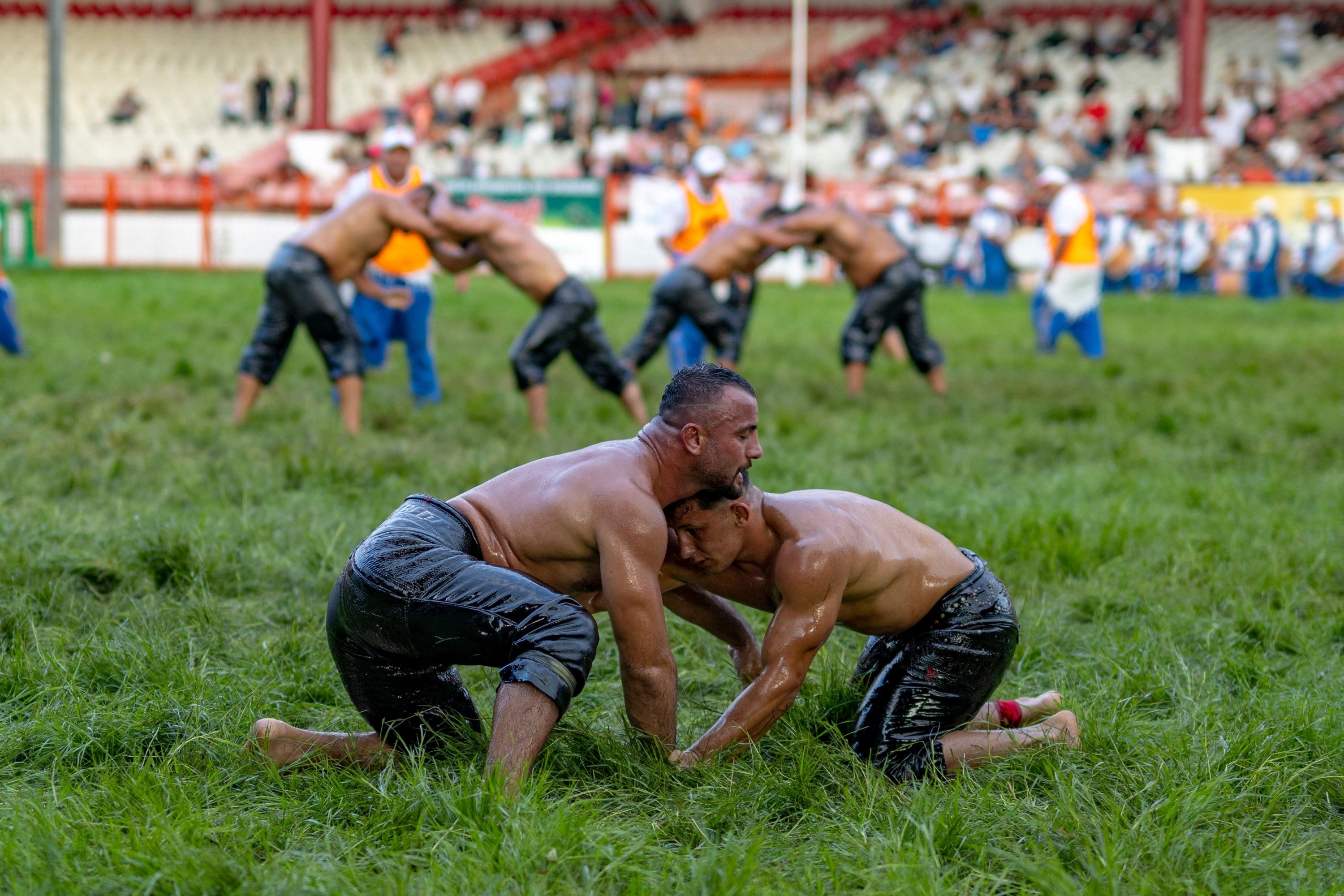 Hombres cubiertos de aceite luchando en el césped.