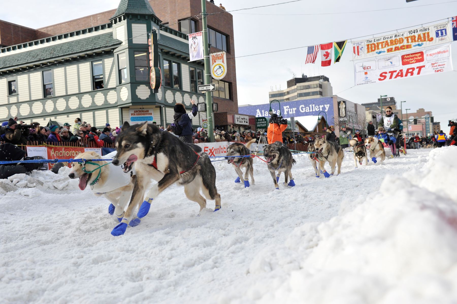 Perros tirando de un trineo en la nieve.