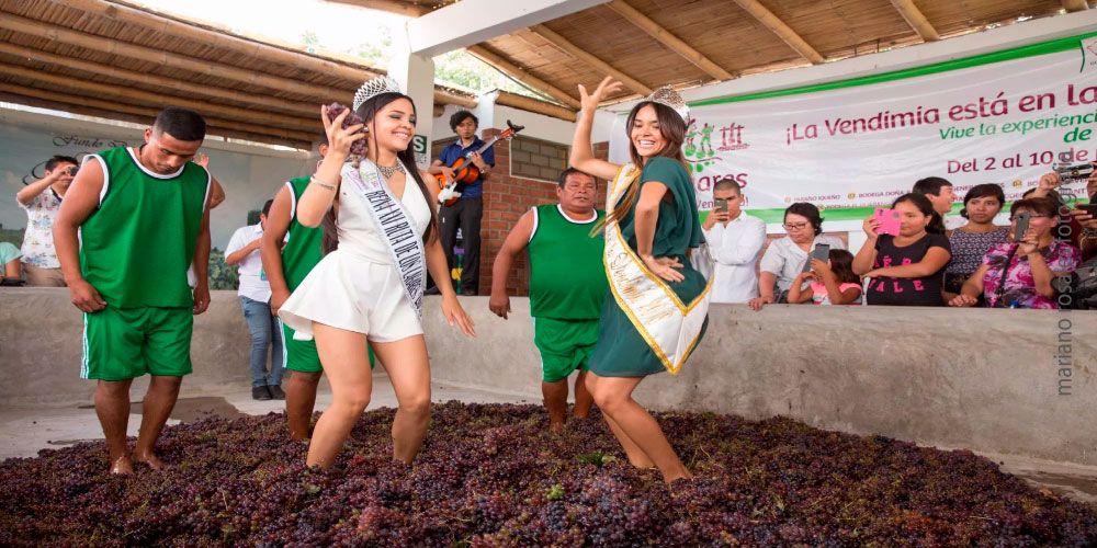 Mujeres pisando uvas en una tinaja de madera.