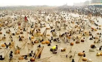 Cientos de hombres en el agua con cestas de pesca.