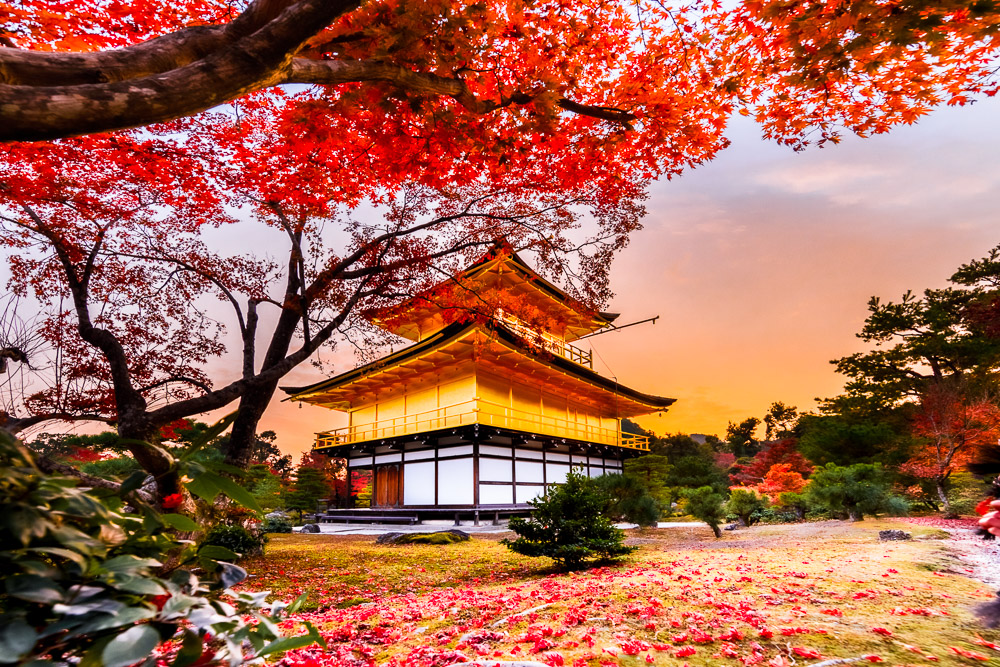 Templo japonés rodeado de hojas de arce rojas.