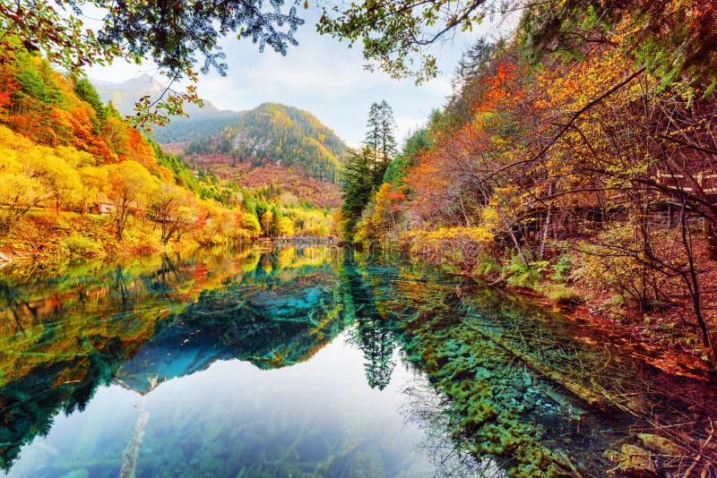 Lago azul turquesa rodeado de árboles rojos.