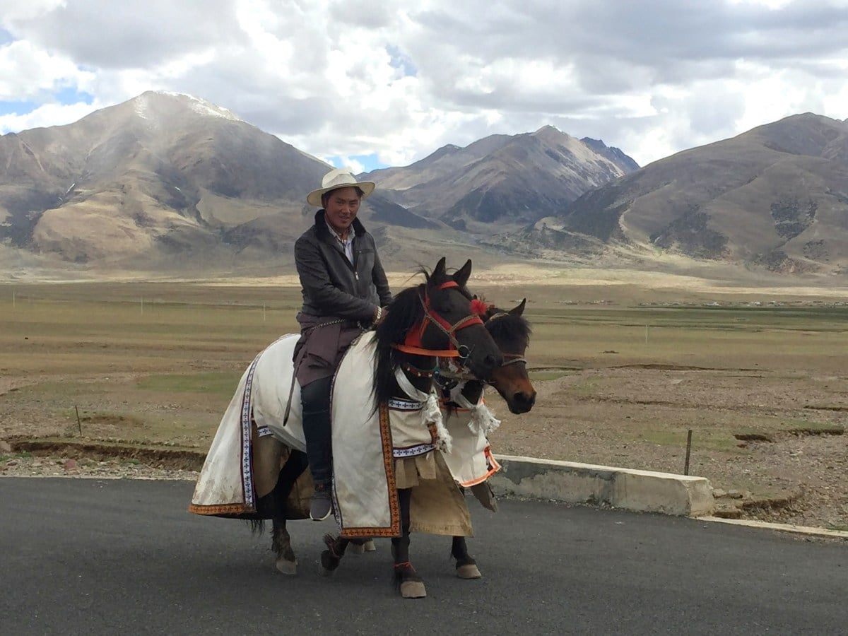 Jinete tibetano galopando por una pradera verde.