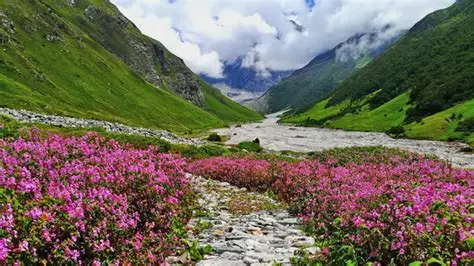 Pradera de flores alpinas con montañas nevadas.