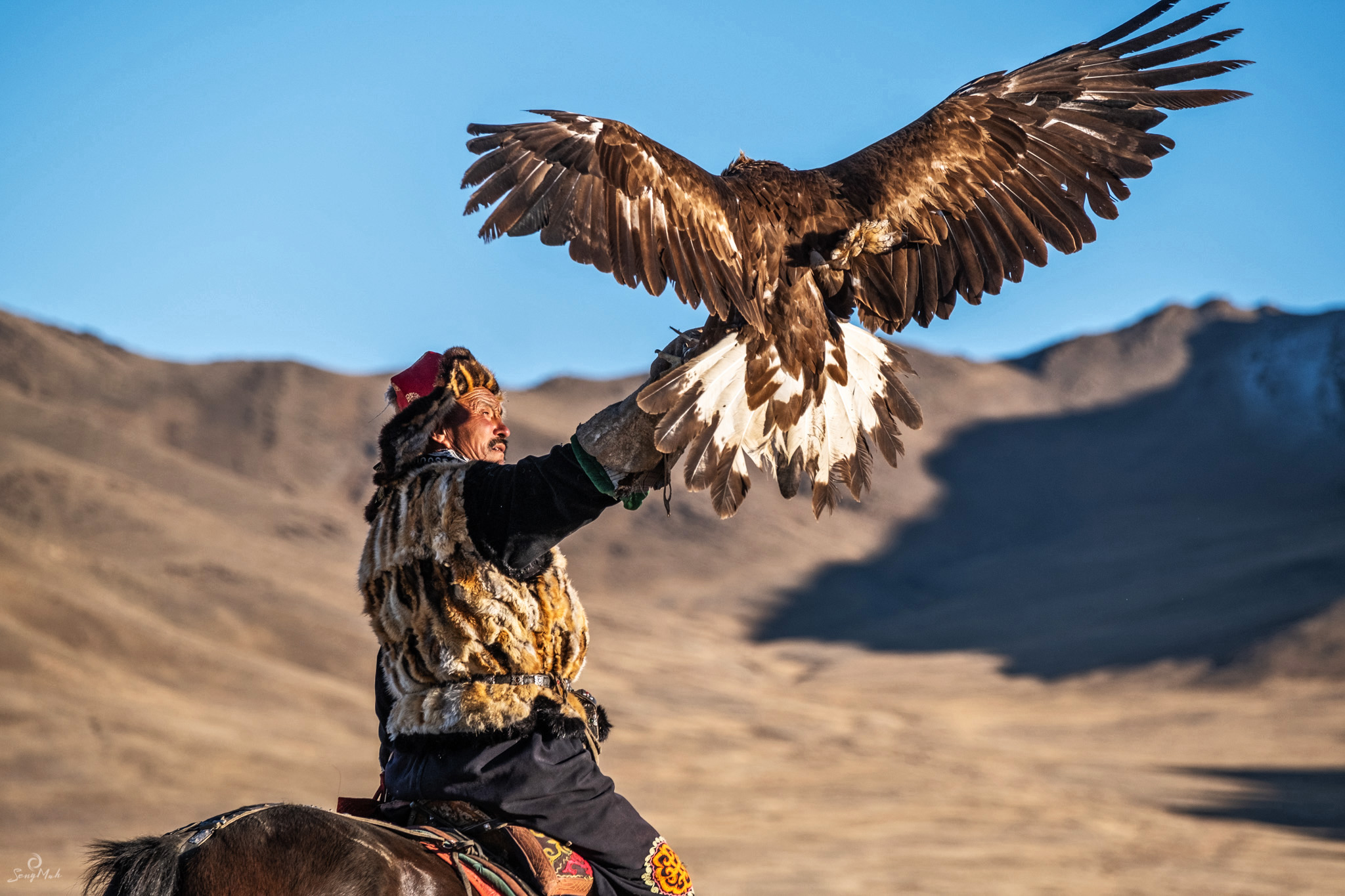 Cazador con un águila real en el brazo sobre un caballo.
