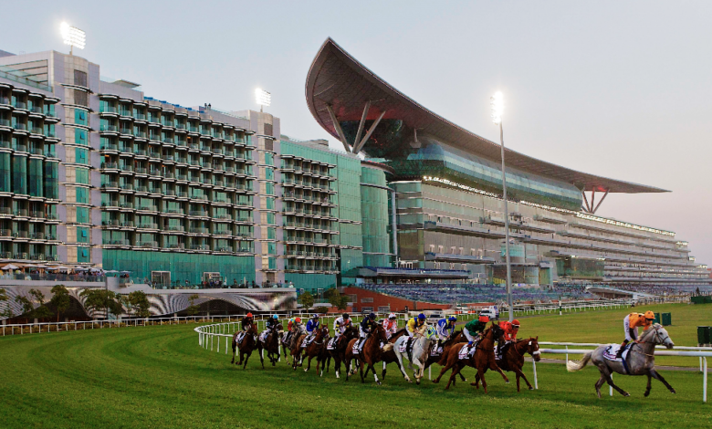 Caballos pura sangre galopando frente a la tribuna de cristal.