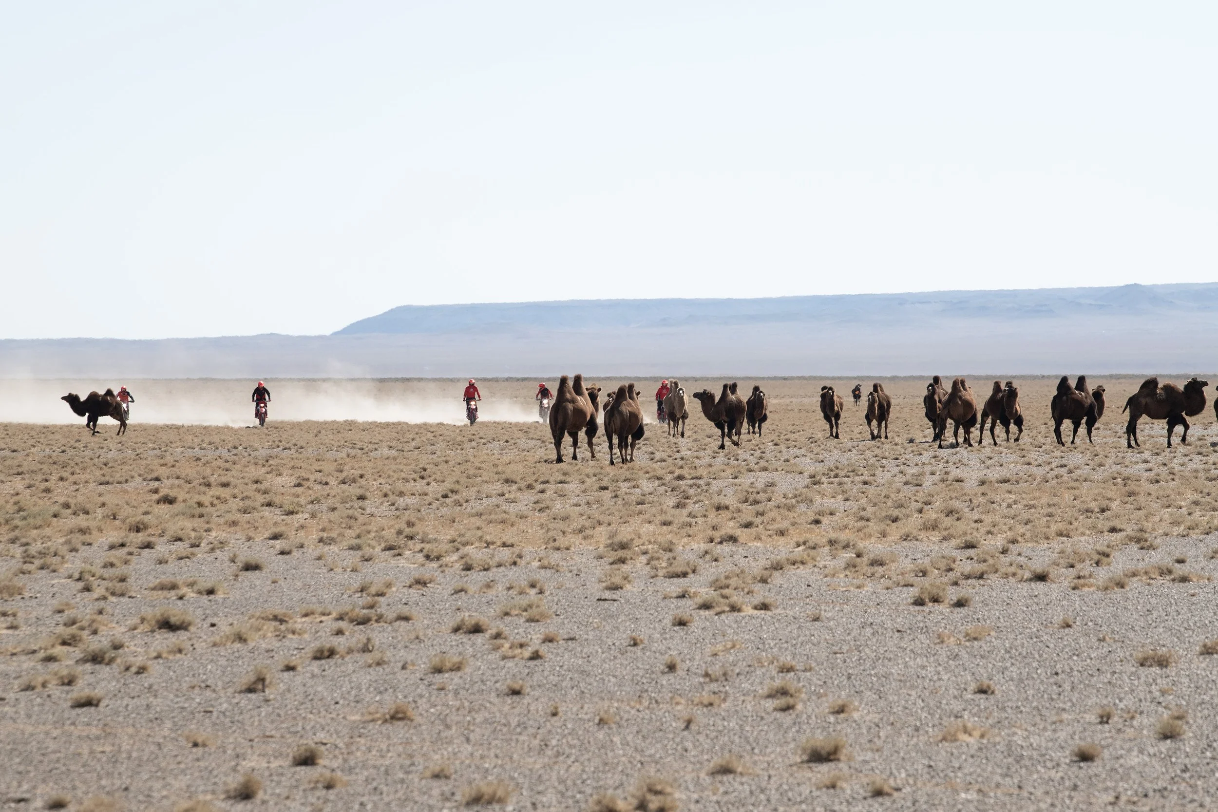Escenario de música entre formaciones rocosas del desierto.