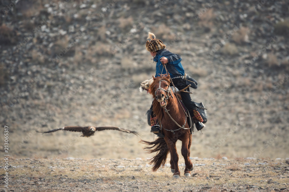 Halcón posado en el guante de un niño mongol.