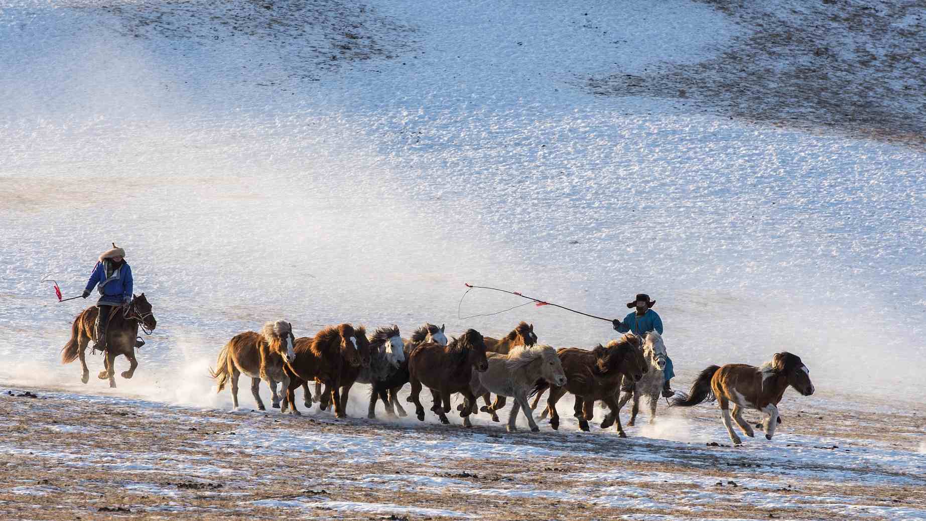 Caballos galopando en una nube de nieve en polvo.