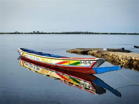Piraguas de colores alineadas en el río Senegal.