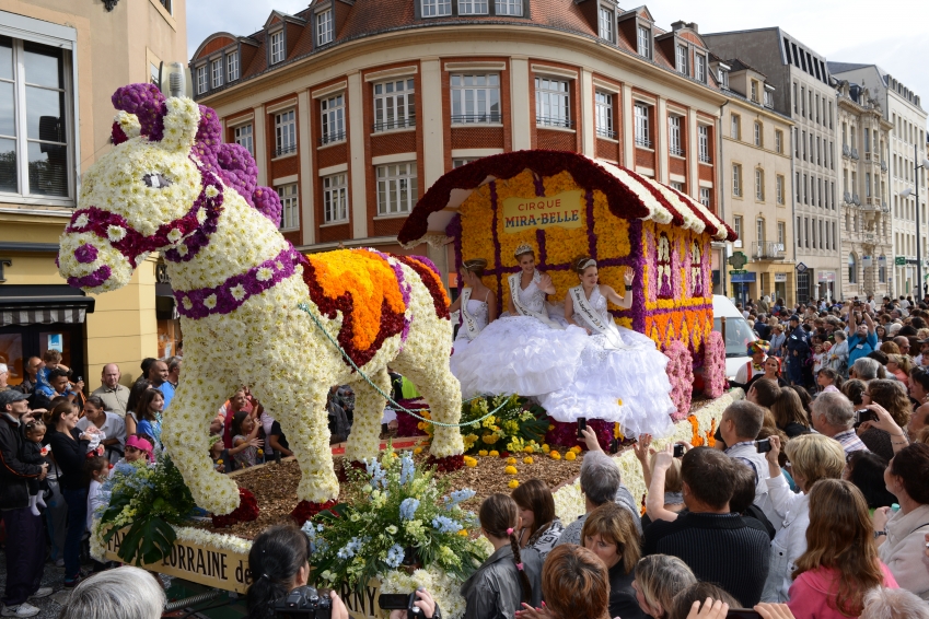 Fête de la Mirabelle