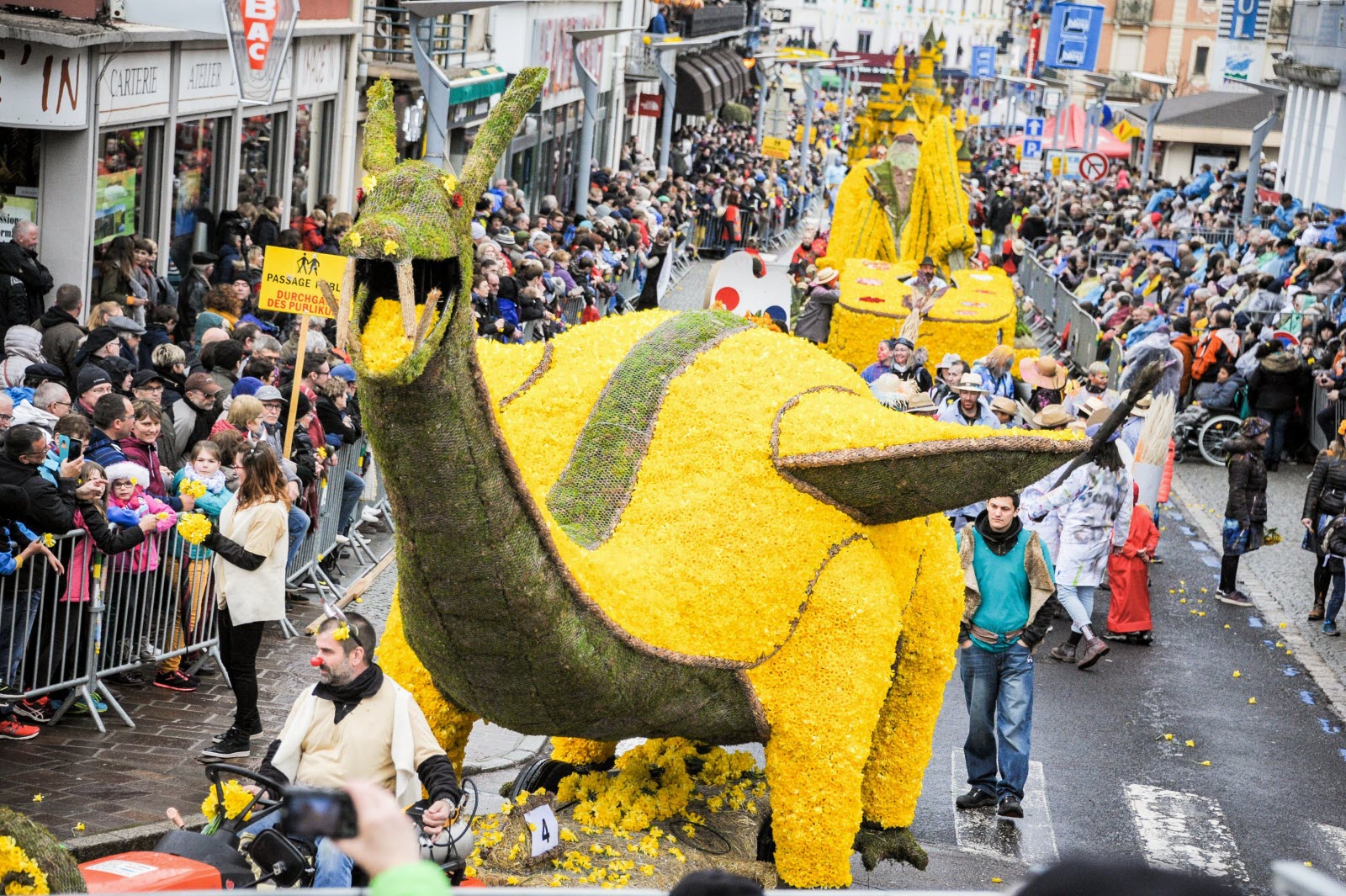 Fête des Jonquilles