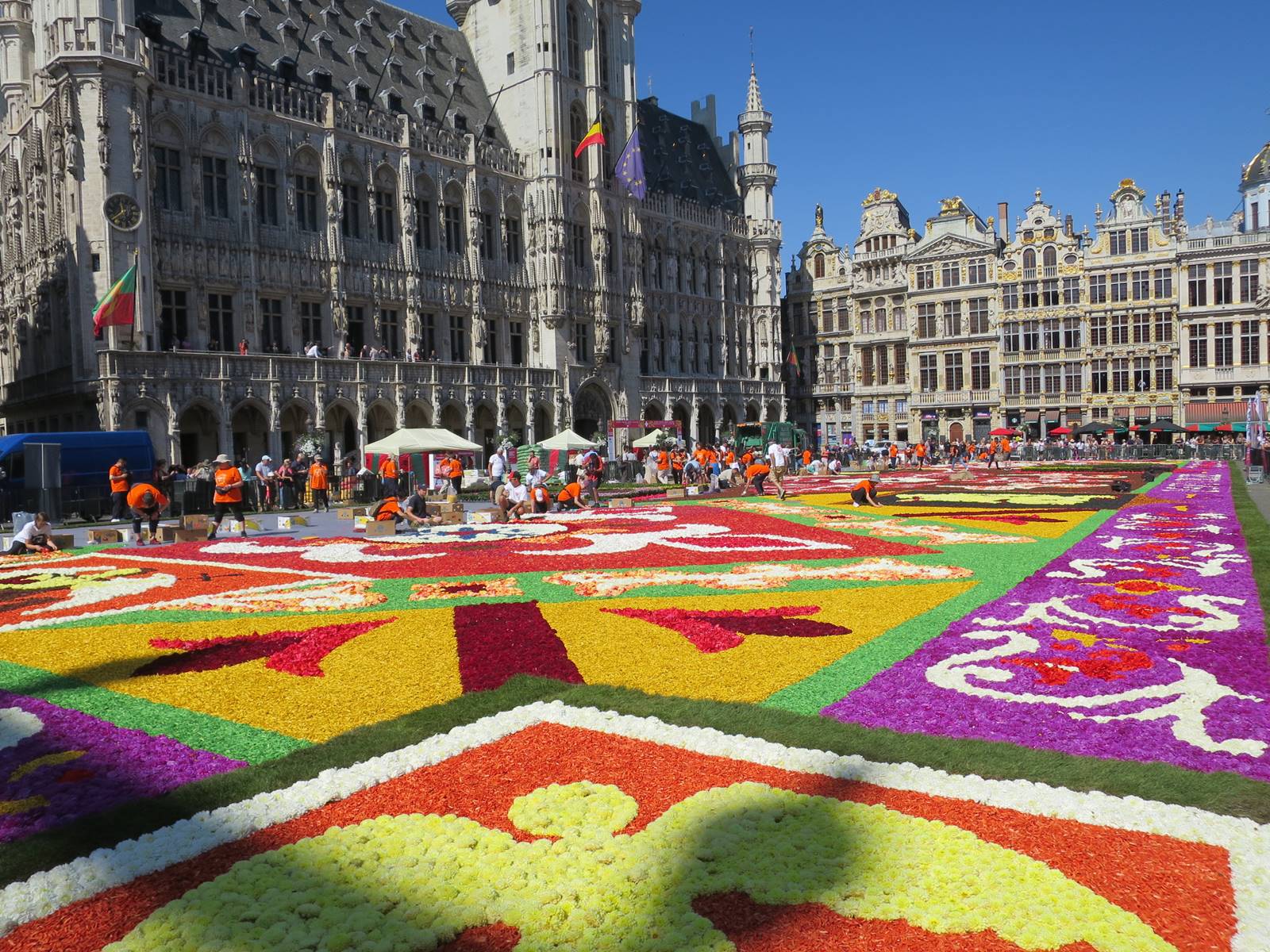 Flower Carpet (Tapis de Fleurs)