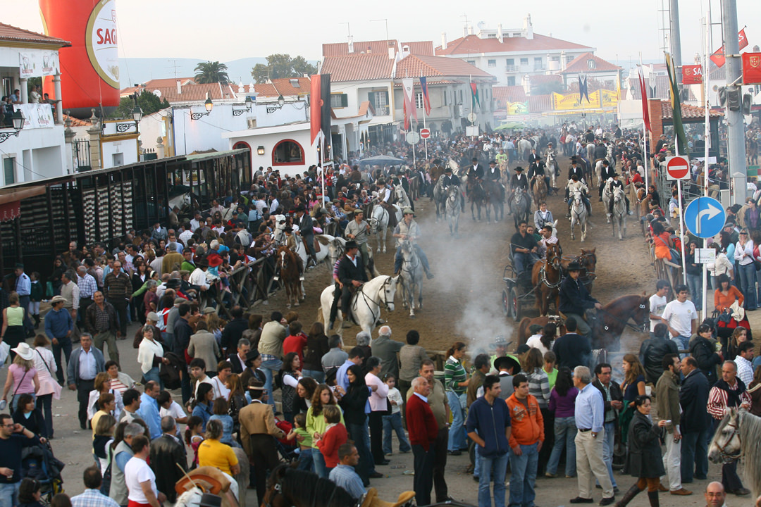 Feira da Golegã (Feira de São Martinho)
