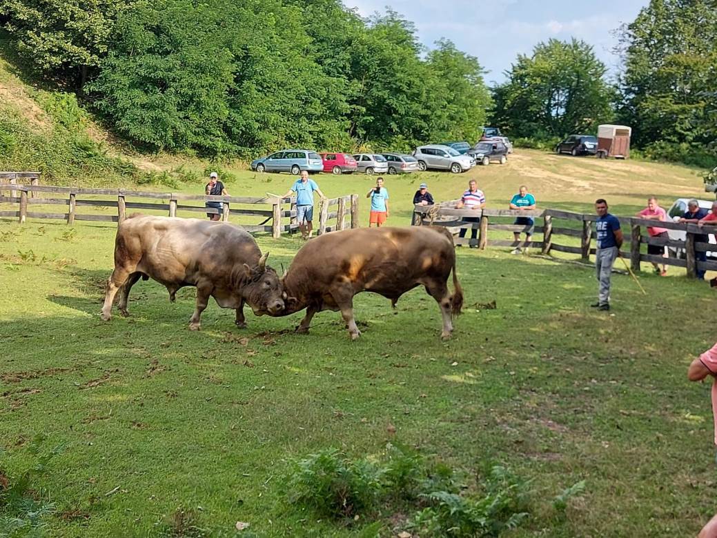 Grmeč Korida