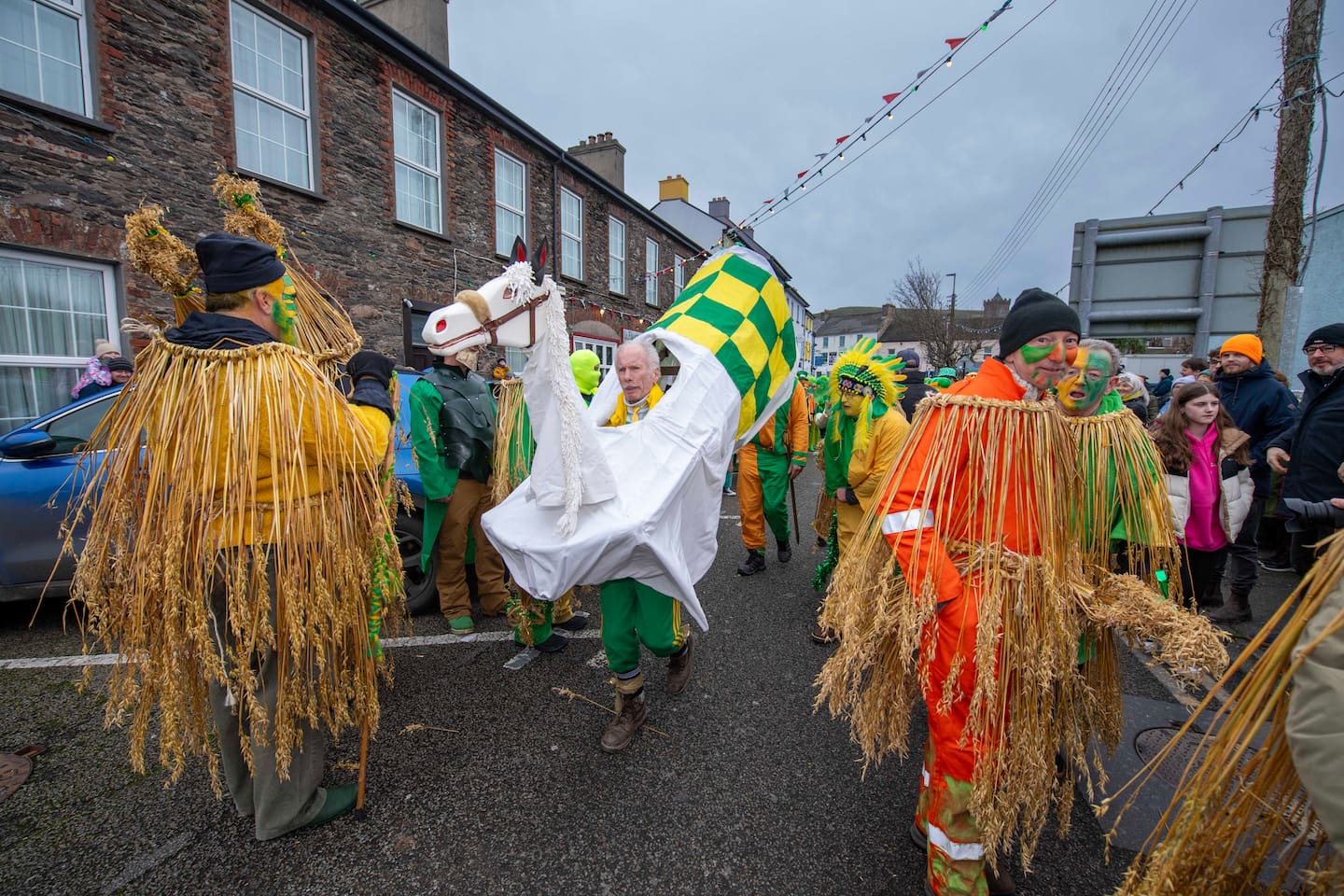 Wren Day (Dingle)