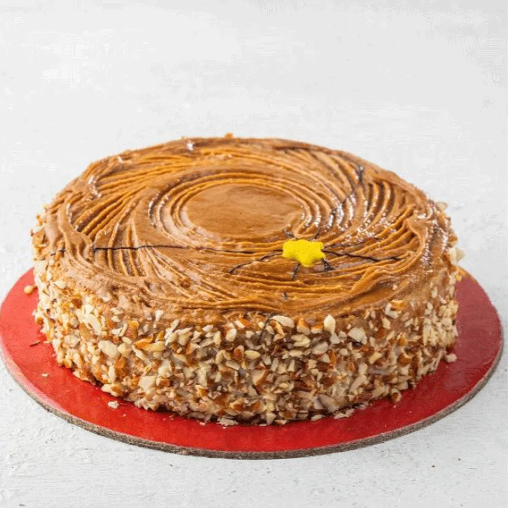 COFFEE-HYDERABADI-CAKE.png