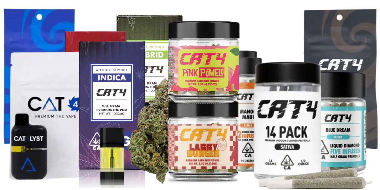 CAT4 by Catalyst
