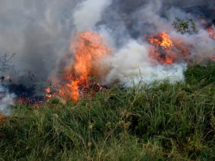 В четырех районах Оренбуржья сохраняется повышенный класс пожарной опасности