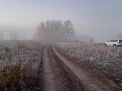 Первый день ноября принесет в Оренбург туман и сильный ветер