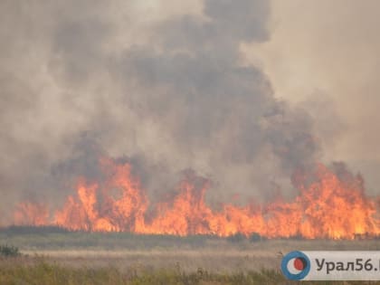 На следующей неделе в Оренбургской области прогнозируется четвертый класс пожарной опасности