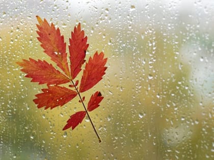 Черноморский циклон накрыл Оренбуржье дождями