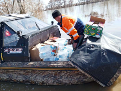 Партия продуктов в село Покровка