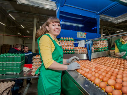 Оренбургские птицефабрики не попали в «черный список» ФАС
