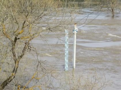 Изменение уровня Урала в Орске и Оренбурге