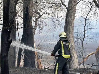 Крупный природный пожар под Оренбургом: распространение огня остановлено, погибших и пострадавших нет