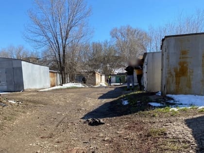 Блогер выплатит 700 000 рублей за вранье о мальчике, растерзанном собаками