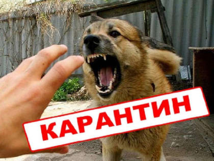 Ограничительные мероприятия