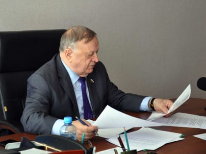 О бездомных собаках и патриотическом воспитании