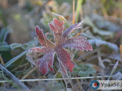 В Оренбургской области середина недели будет холодной, а к выходным вновь пойдут дожди