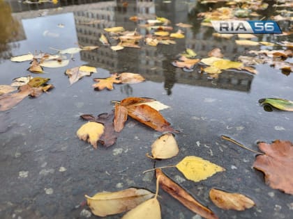 В ночь на 13 ноября в Оренбуржье ожидается слабый дождь и до -2 градусов мороза