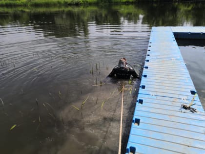 Водолазы АСС проверили пляж на турбазе «Прогресс»