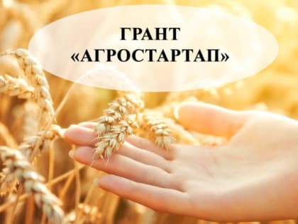 Объявлены победители грантового конкурса «Агростартап» в Оренбуржье