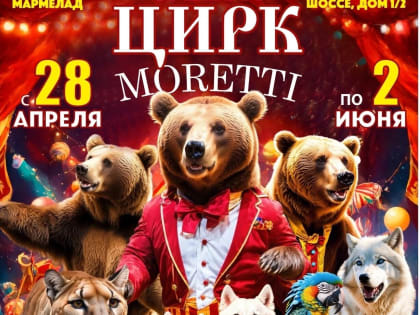 Держателям карт «ПрофДИСКОНТ» скидка 15% на шоу цирка Моретти в Оренбурге
