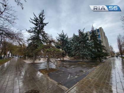 Днем 10 ноября в Оренбуржье ожидается дождь, ветер и до +10 градусов