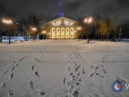 Снегопад с дождем сегодня превратил улицы и катки Оренбурга и Орска в снежную кашу