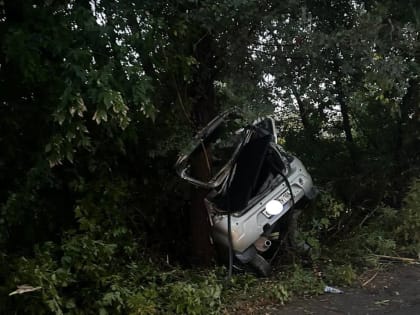 В Орске. 51-летняя автоледи погибла , въехав на иномарке в дерево